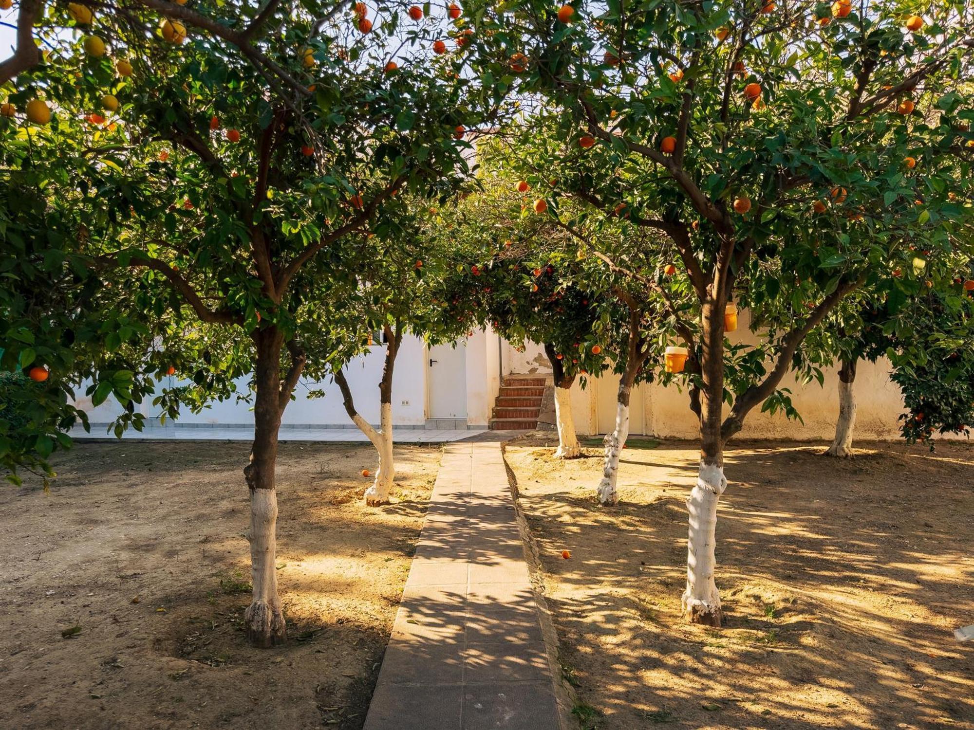 Charming Country House Torremolinos Ngoại thất bức ảnh