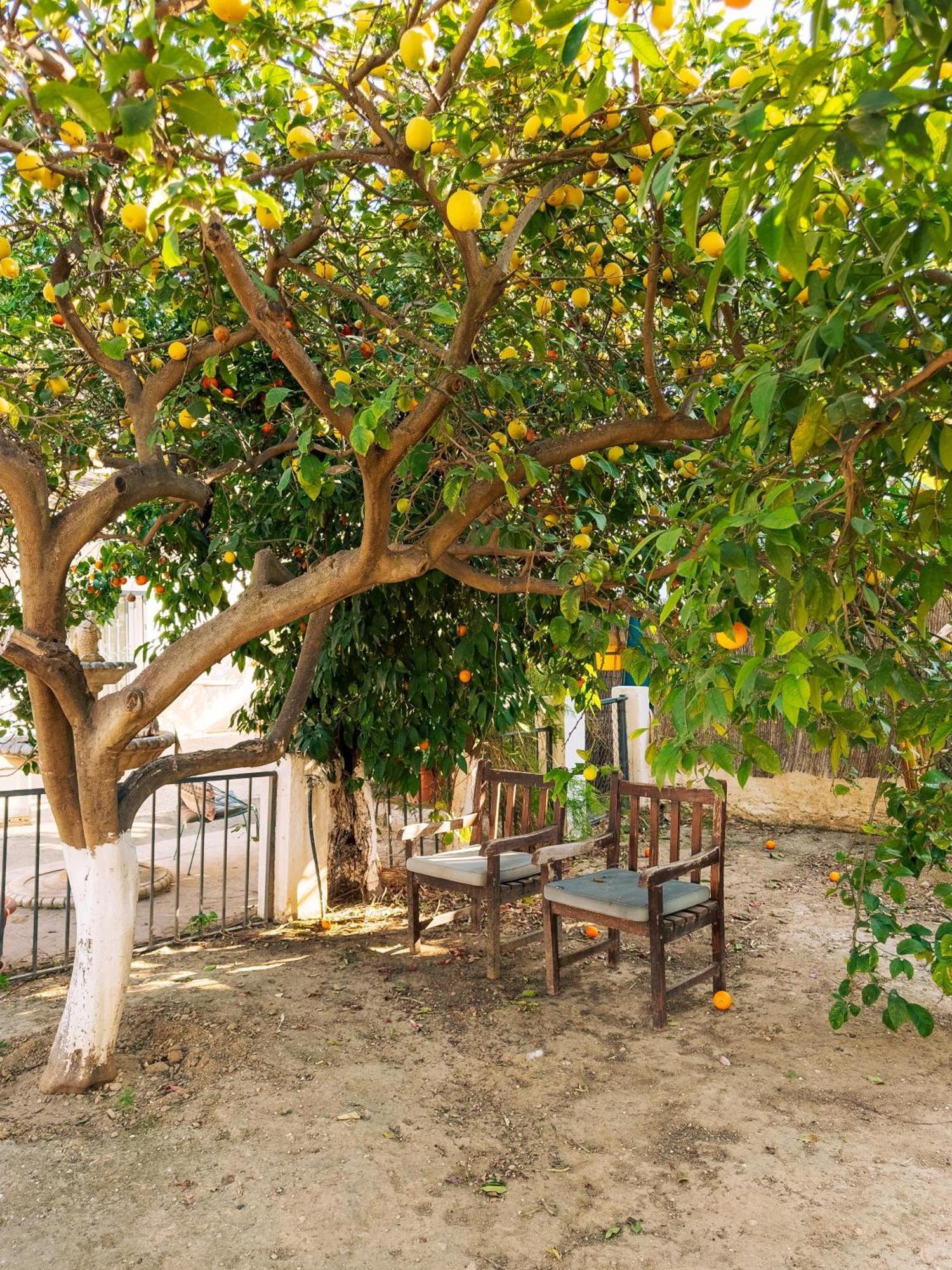 Charming Country House Torremolinos Ngoại thất bức ảnh